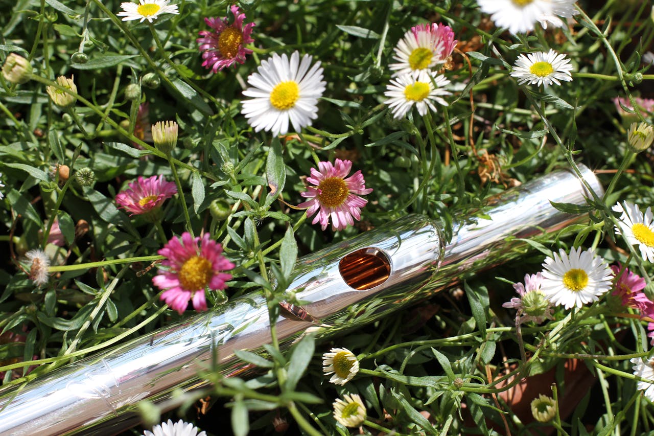 A stainless steel flute lies among vibrant daisies, showcasing a blend of nature and music.
